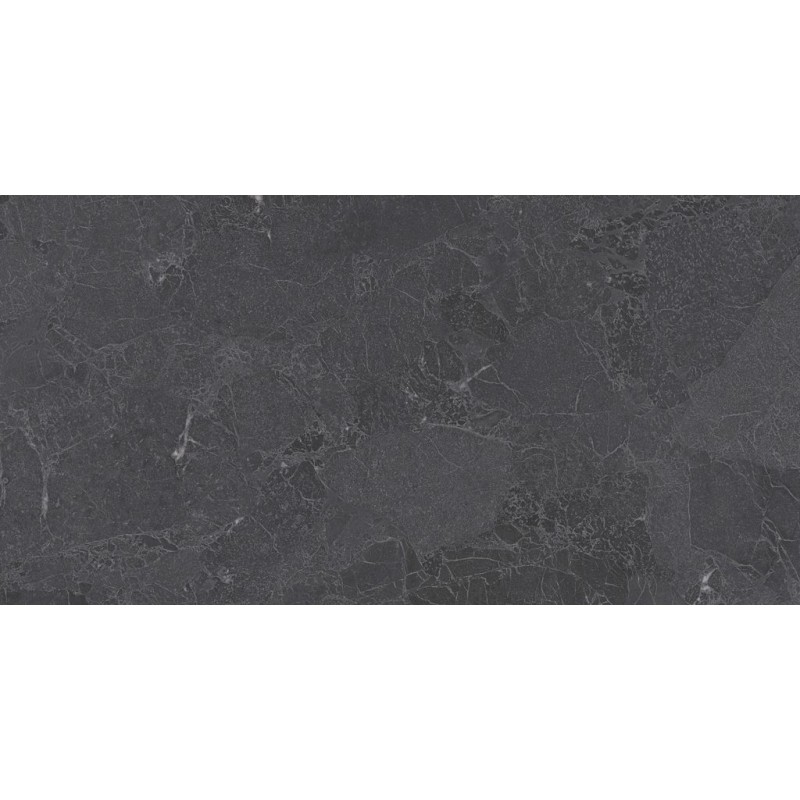 Carrelage mur&sol 32x62.5 INFINITY