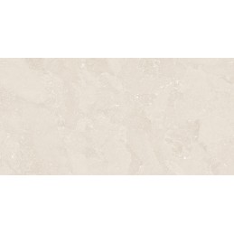 Carrelage mur&sol 60x120...