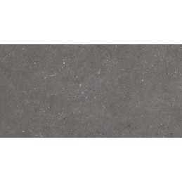Carrelage mur&sol 32x62.5 MOONSTONE